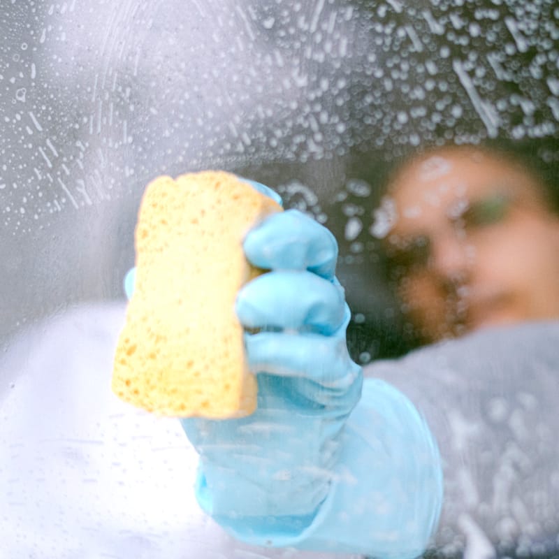 window-cleaning_75