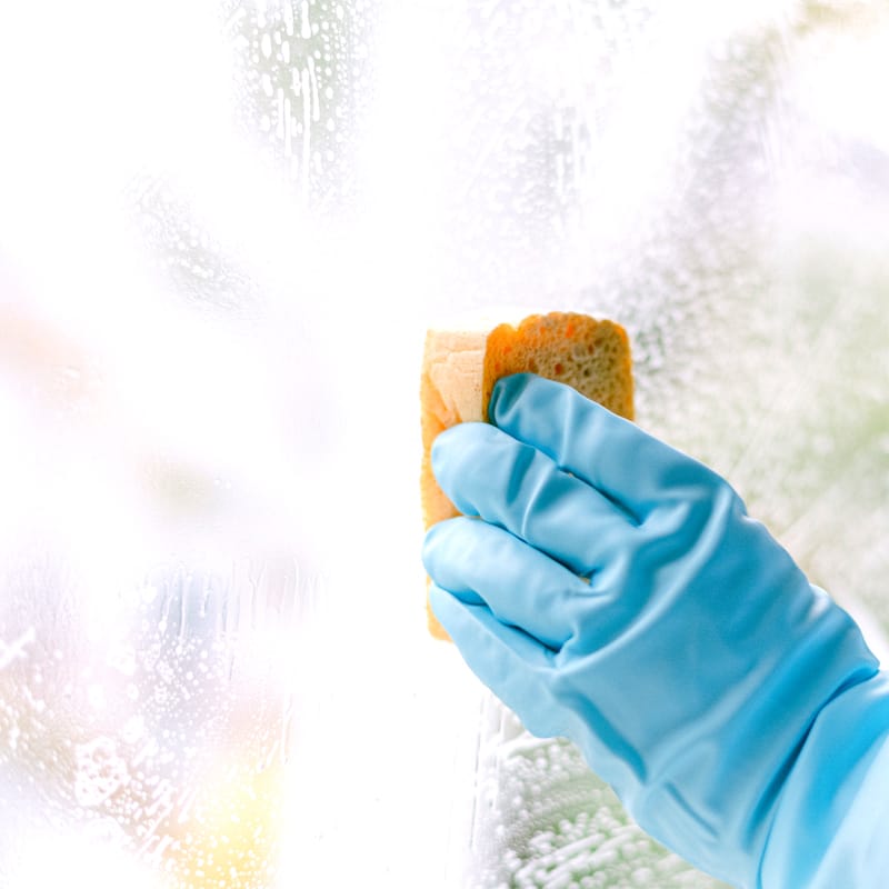 window-cleaning_76